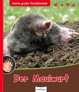Poschadel |  Meine große Tierbibliothek: Der Maulwurf | Buch |  Sack Fachmedien