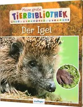 Tracqui |  Meine große Tierbibliothek: Der Igel | Buch |  Sack Fachmedien