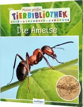 Gutjahr |  Meine große Tierbibliothek: Die Ameise | Buch |  Sack Fachmedien