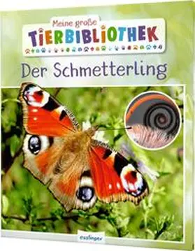 Tracqui |  Meine große Tierbibliothek: Der Schmetterling | Buch |  Sack Fachmedien