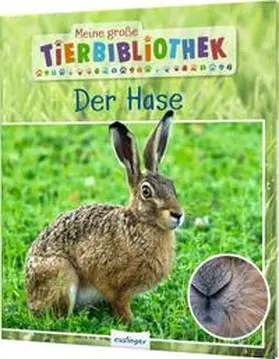 Poschadel |  Meine große Tierbibliothek: Der Hase | Buch |  Sack Fachmedien