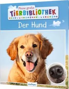Tracqui |  Meine große Tierbibliothek: Der Hund | Buch |  Sack Fachmedien