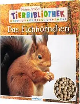 Ledu-Frattini |  Meine große Tierbibliothek: Das Eichhörnchen | Buch |  Sack Fachmedien
