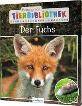 Havard |  Meine große Tierbibliothek: Der Fuchs | Buch |  Sack Fachmedien