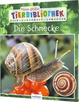 Starosta | Meine große Tierbibliothek: Die Schnecke | Buch | 978-3-480-23658-9 | www.sack.de