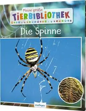 Poschadel |  Meine große Tierbibliothek: Die Spinne | Buch |  Sack Fachmedien