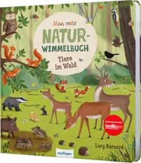 Schumann |  Mein erstes Natur-Wimmelbuch: Tiere im Wald | Buch |  Sack Fachmedien