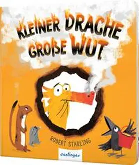 Starling |  Kleiner Drache Finn: Kleiner Drache, große Wut | Buch |  Sack Fachmedien