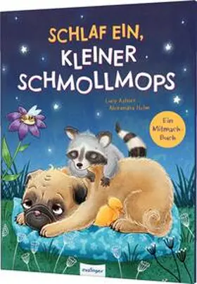 Astner |  Schlaf ein, kleiner Schmollmops | Buch |  Sack Fachmedien