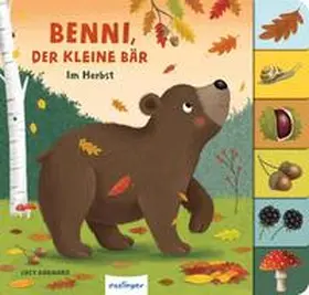 Kiel |  Mein erstes Jahreszeitenbuch: Benni, der kleine Bär | Buch |  Sack Fachmedien