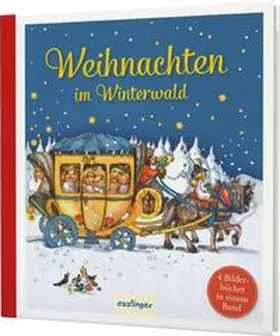 Heinemann / Holst |  Weihnachten im Winterwald | Buch |  Sack Fachmedien
