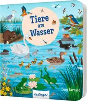 Schumann |  Mein erstes Natur-Wimmelbuch: Tiere am Wasser – Mini-Ausgabe | Buch |  Sack Fachmedien
