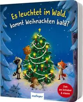Kiel |  Es leuchtet im Wald, kommt Weihnachten bald? | Buch |  Sack Fachmedien