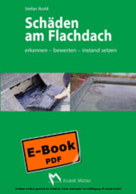 Ibold | Schäden am Flachdach | E-Book | sack.de