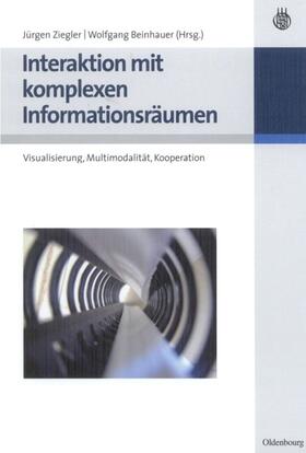 Beinhauer / Ziegler | Interaktion mit komplexen Informationsräumen | Buch | 978-3-486-27517-9 | sack.de