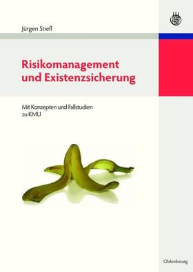 Stiefl | Risikomanagement und Existenzsicherung | Buch | 978-3-486-59753-0 | sack.de