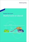 Herrmann |  Mathematik ist überall | Buch |  Sack Fachmedien