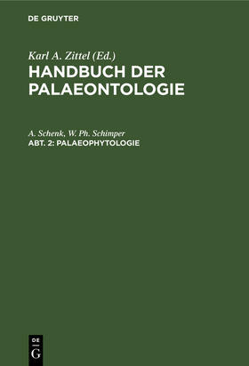 Schimper / Schenk | Palaeophytologie | Buch | 978-3-486-72651-0 | sack.de