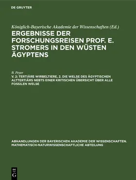 Peyer |  Tertiäre Wirbeltiere, 2. Die Welse des ägyptischen Alttertiärs nebst einer kritischen Übersicht über alle fossilen Welse | Buch |  Sack Fachmedien
