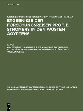 Peyer |  Tertiäre Wirbeltiere, 2. Die Welse des ägyptischen Alttertiärs nebst einer kritischen Übersicht über alle fossilen Welse | eBook | Sack Fachmedien