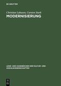 Lahusen / Stark |  Modernisierung | eBook | Sack Fachmedien