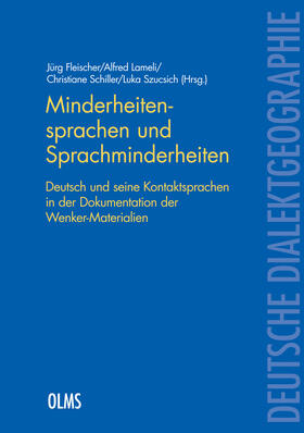 Fleischer / Lameli / Schiller | Minderheitensprachen und Sprachminderheiten | Buch | 978-3-487-15934-8 | sack.de