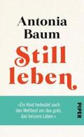 Baum |  Stillleben | Buch |  Sack Fachmedien