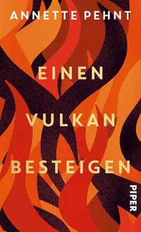 Pehnt |  Einen Vulkan besteigen | Buch |  Sack Fachmedien