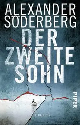 Söderberg | Der zweite Sohn | Buch | 978-3-492-31015-4 | www.sack.de