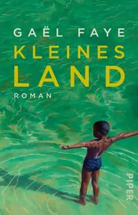 Faye |  Kleines Land | Buch |  Sack Fachmedien