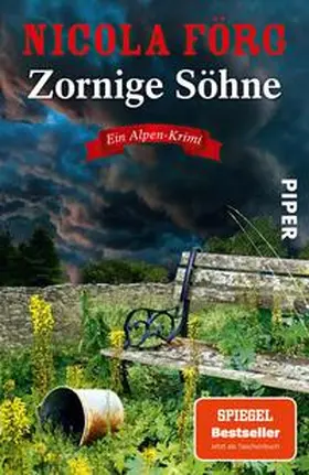 Förg | Zornige Söhne | Buch | 978-3-492-32145-7 | www.sack.de