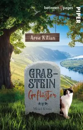Kilian |  Grabsteingeflüster | Buch |  Sack Fachmedien