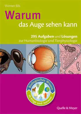 Bils |  Warum das Auge sehen kann | Buch |  Sack Fachmedien