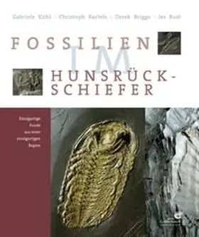 Kühl / Bartels / Briggs |  Fossilien im Hunsrück Schiefer | Buch |  Sack Fachmedien