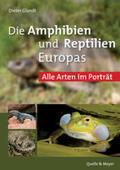 Glandt |  Die Amphibien und Reptilien Europas | Buch |  Sack Fachmedien