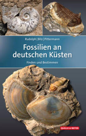 Rudolph / Bilz / Pittermann | Fossilien an deutschen Küsten | Buch | 978-3-494-01590-3 | sack.de