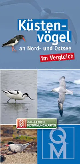 Quelle & Meyer Verlag / Bergmann |  Küstenvögel | Sonstiges |  Sack Fachmedien