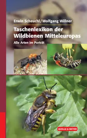 Scheuchl / Willner |  Taschenlexikon der Wildbienen Mitteleuropas | Buch |  Sack Fachmedien
