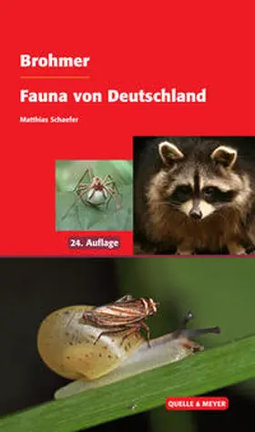 Schaefer |  Brohmer – Fauna von Deutschland | Buch |  Sack Fachmedien