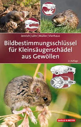 Jenrich / Löhr / Müller |  Bildbestimmungsschlüssel für Kleinsäugerschädel aus Gewöllen | Buch |  Sack Fachmedien