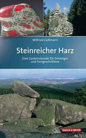 Ließmann |  Steinreicher Harz | Buch |  Sack Fachmedien