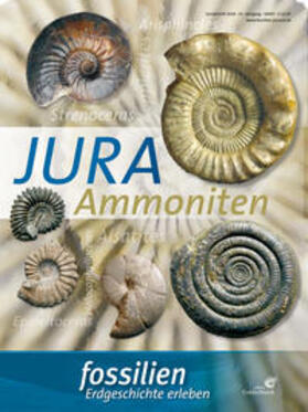 Schweigert | Fossilien Sonderheft 2018 "Jura-Ammoniten" | Buch | 978-3-494-01743-3 | sack.de