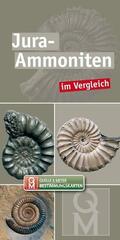 Schweigert |  Jura-Ammoniten | Buch |  Sack Fachmedien