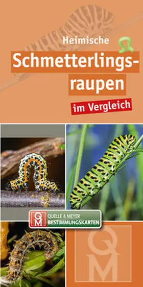 Willner |  Heimische Schmetterlingsraupen | Buch |  Sack Fachmedien