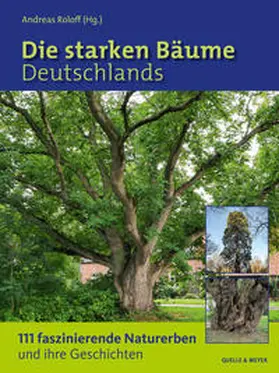 Roloff / Roloff (Hg.) | Die starken Bäume Deutschlands | Buch | 978-3-494-01814-0 | www.sack.de