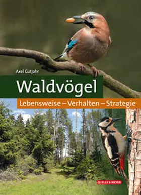 Gutjahr |  Waldvögel | Buch |  Sack Fachmedien