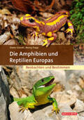 Glandt / Trapp |  Die Amphibien und Reptilien Europas | Buch |  Sack Fachmedien