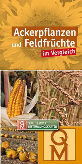 Ackerpflanzen und Feldfrüchte | Buch | 978-3-494-01883-6 | www.sack.de