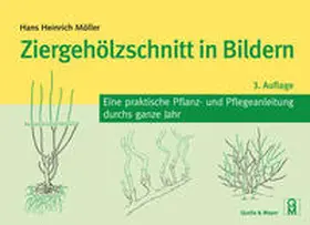 Möller |  Ziergehölzschnitt in Bildern | Buch |  Sack Fachmedien