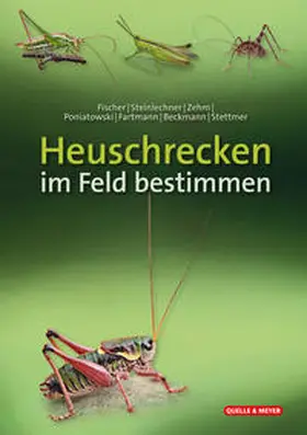 Fischer / Steinlechner / Zehm |  Heuschrecken im Feld bestimmen | Sonstiges |  Sack Fachmedien